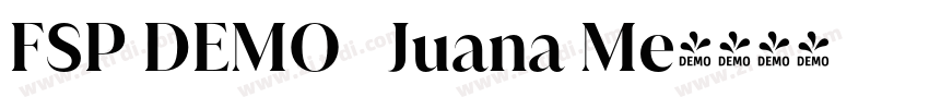 FSP DEMO   Juana Me字体转换